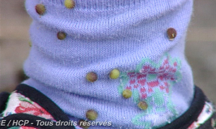 Dissémination des semences - Bardane, Gaillet grateron